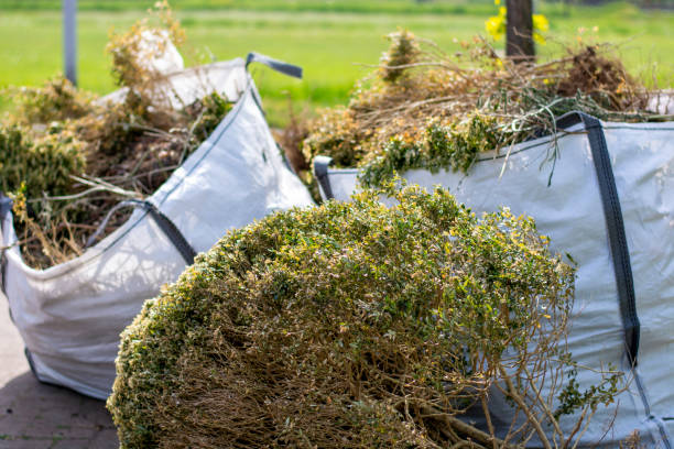 Best Furniture Removal  in Wharton, NJ